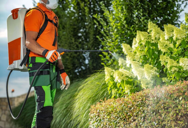 On Schedule 1639606953