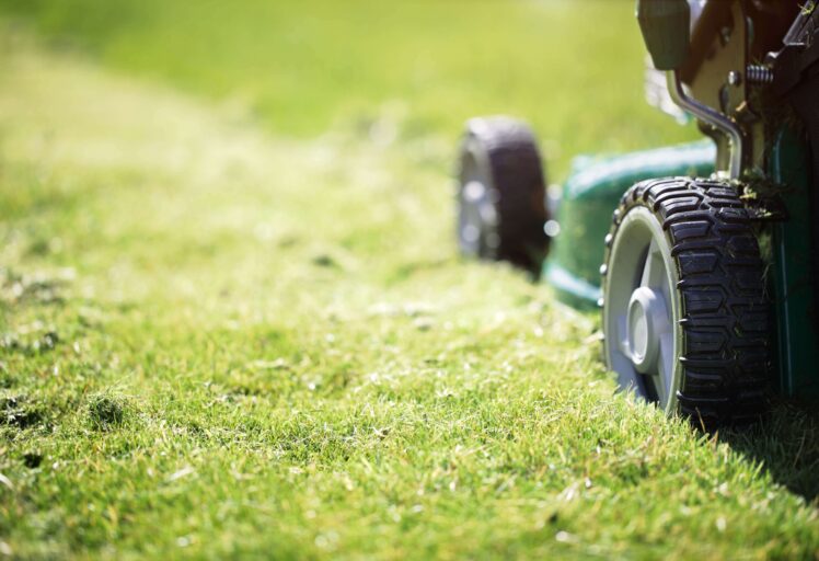 On Schedule 80449484